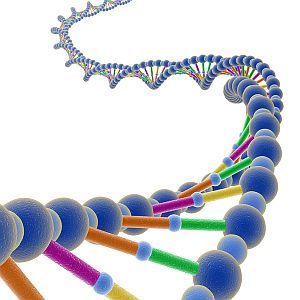 DNA_celule_stem