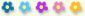 5 flowers
