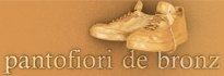 Concurs - Pantofiori de bronz!