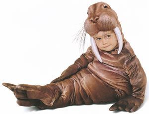 Combate febra si durerile copilului tau