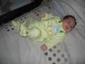 Concurs - adelina
