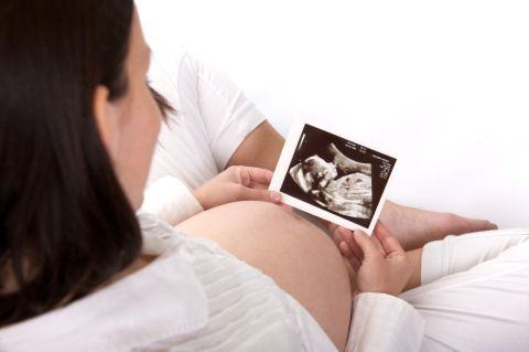 gravida-ecografie