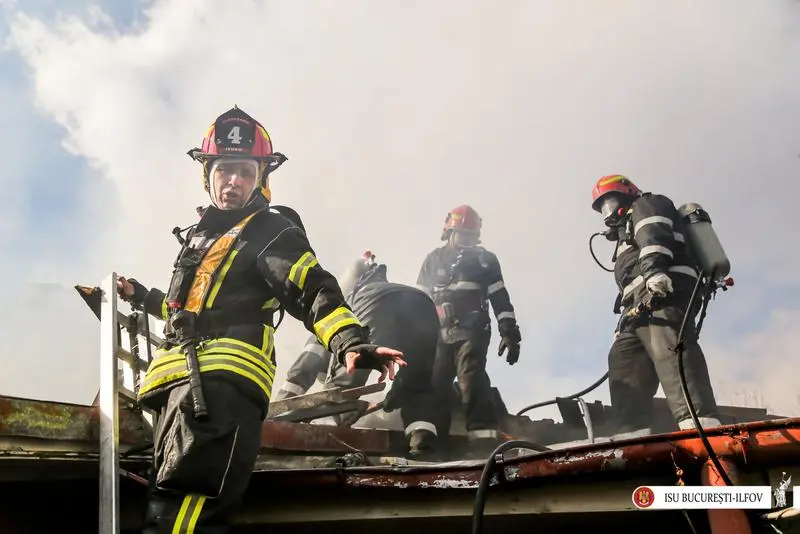 Incendiu puternic la Gradina Zoologica Bucuresti. Flacarile au mistuit 2.000 mp