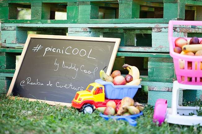 picnic_cool