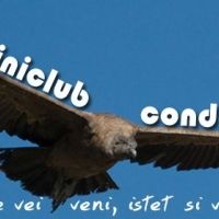 Mini Club Condor