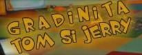 Gradinita Tom si Jerry Galati