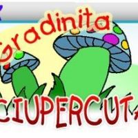 Gradinita nr. 263 Ciupercuta