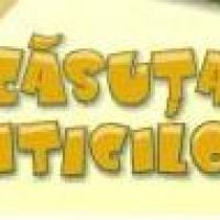 Gradinita Casuta Piticilor