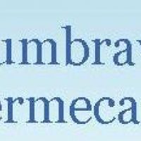 Gradinita Dumbrava Fermecata