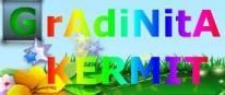 Gradinita Kermit