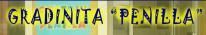 Gradinita Penilla
