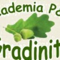 Gradinita Academia P&C