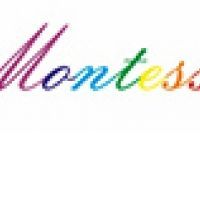 Fundatia Montessori din Romania