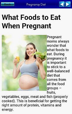 Pregnancy Diet.jpg Pregnancy Diet