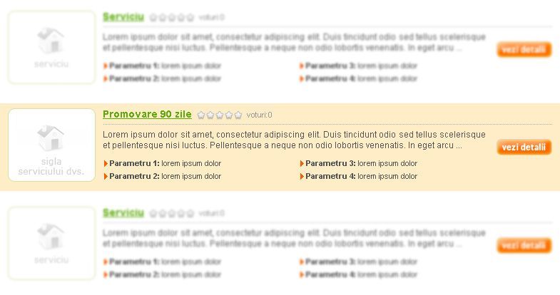 Promovare 90 zile