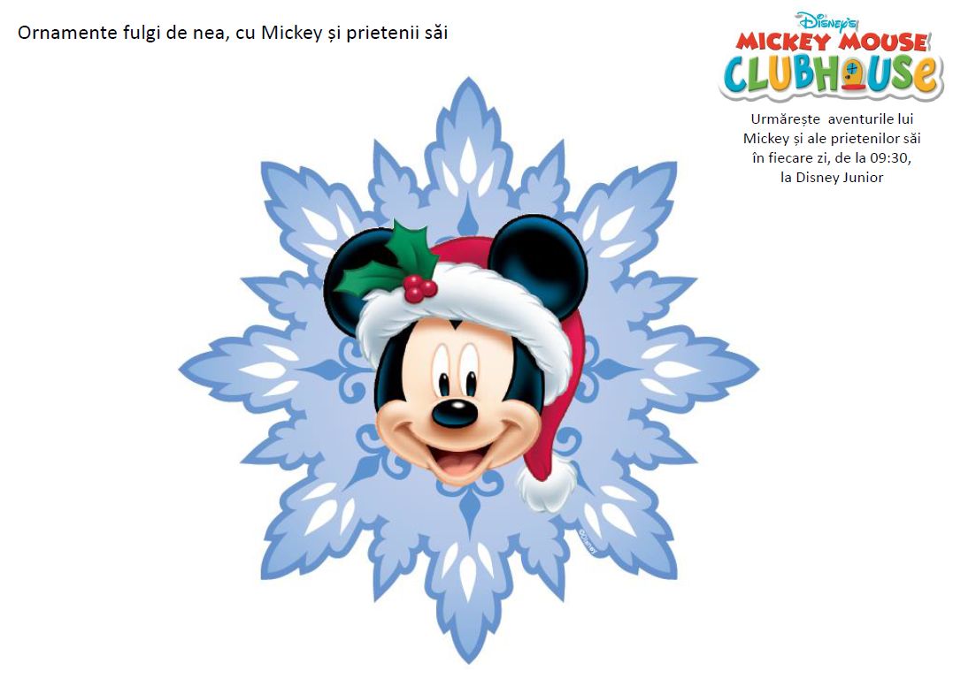 Ornamente Fulgi De Nea Cu Mickey Si Prietenii Sai Educatie