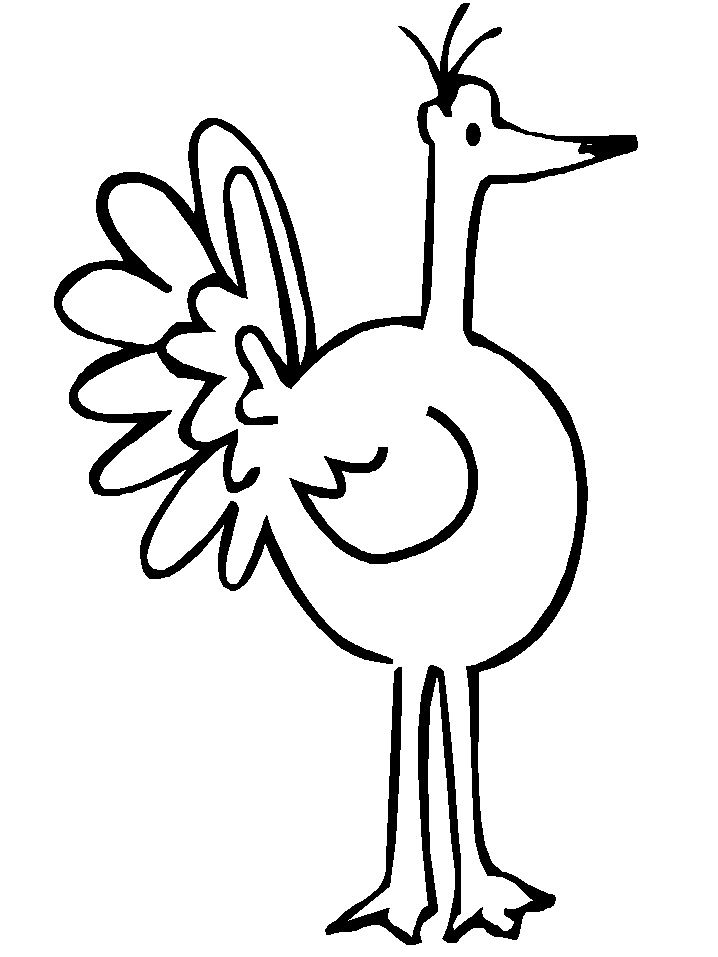Curcan | Animale | Educatie | Copilul.ro