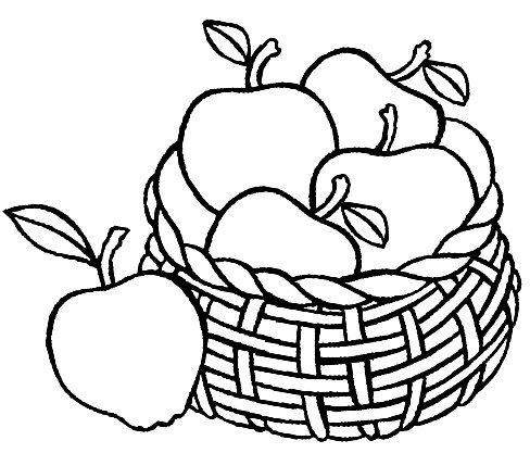 Autumn Orchard Basket Fresh Fruit Sunlight Stock Photo C Yotka Fotoaloja Fotoaloja 5603463 Stockfresh